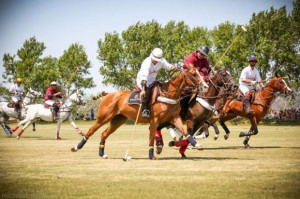 people helping people polo