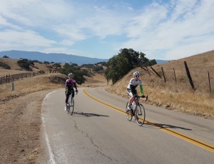 Two Wine Country Bike Trek riders begin their 2015 ride headed down Figueroa Mountain Road from Midland School to Los Olivos. 